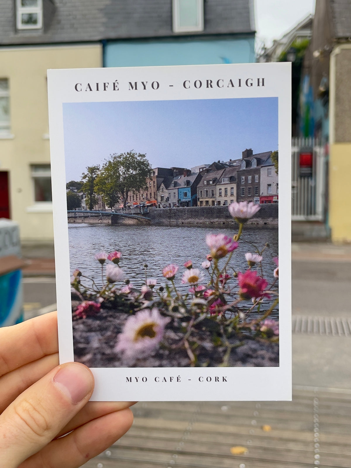 Postcard - Caifé MYO