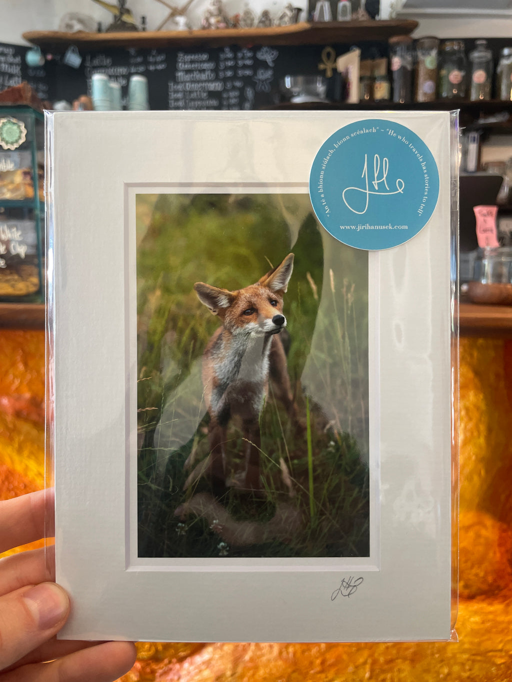 Small Fine Art Photography Print 6x8in